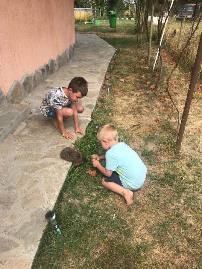 Стаи За Гости Тони 리바리차 외부 사진